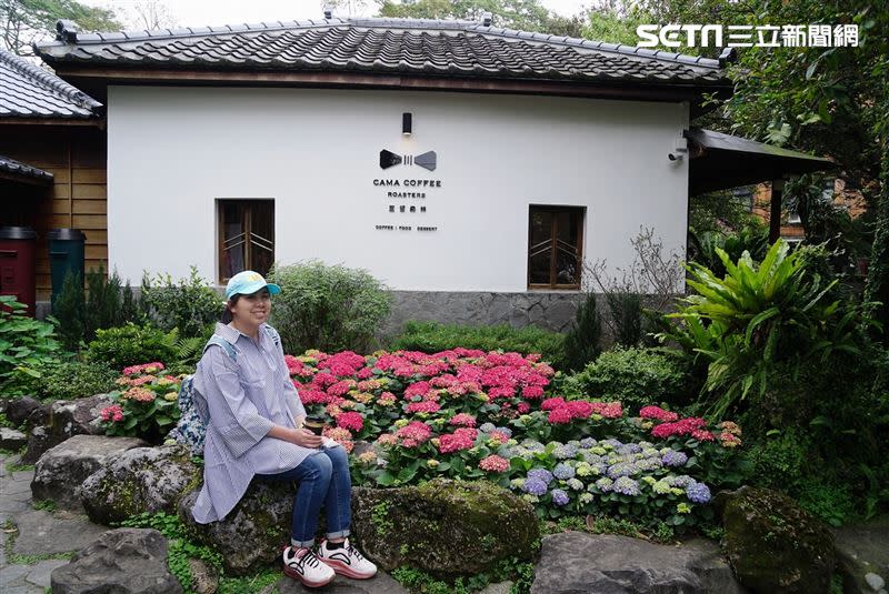 豆留森林園內種植了百株繡球花（圖／記者李鴻典攝）