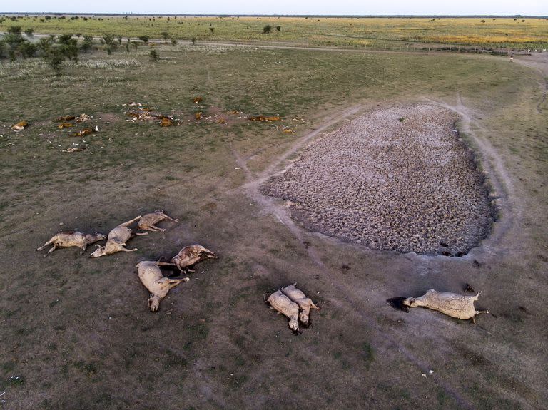 La sequía, un duro golpe para los productores del norte de Santa Fe