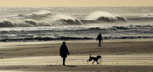 Dog walkers during a cold autumn day on Tynemouth beach