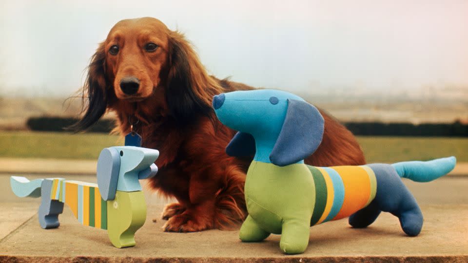 Waldi, the official mascot of the 1972 Olympics, was modeled on a dachshund called Fritz (the real dog in the middle). - Bettmann Archive/Getty Images