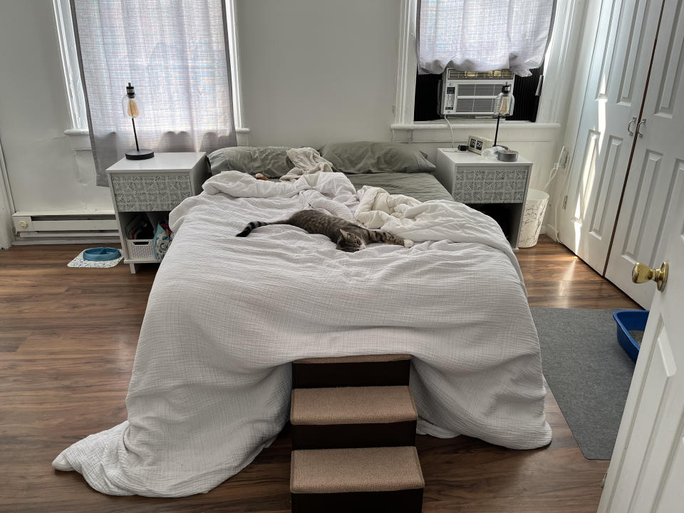 Bed with rumpled white bedding and a small pet on top, in a bedroom with two nightstands and a window AC unit