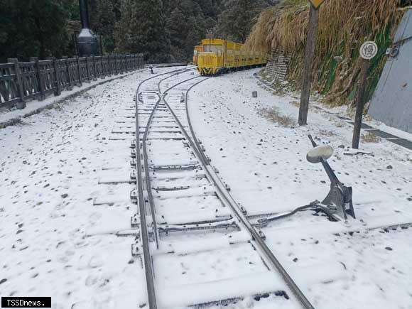 首波低溫來襲！太平山國家森林遊樂區下雪美景。（圖：林業保育署宜蘭分署提供）