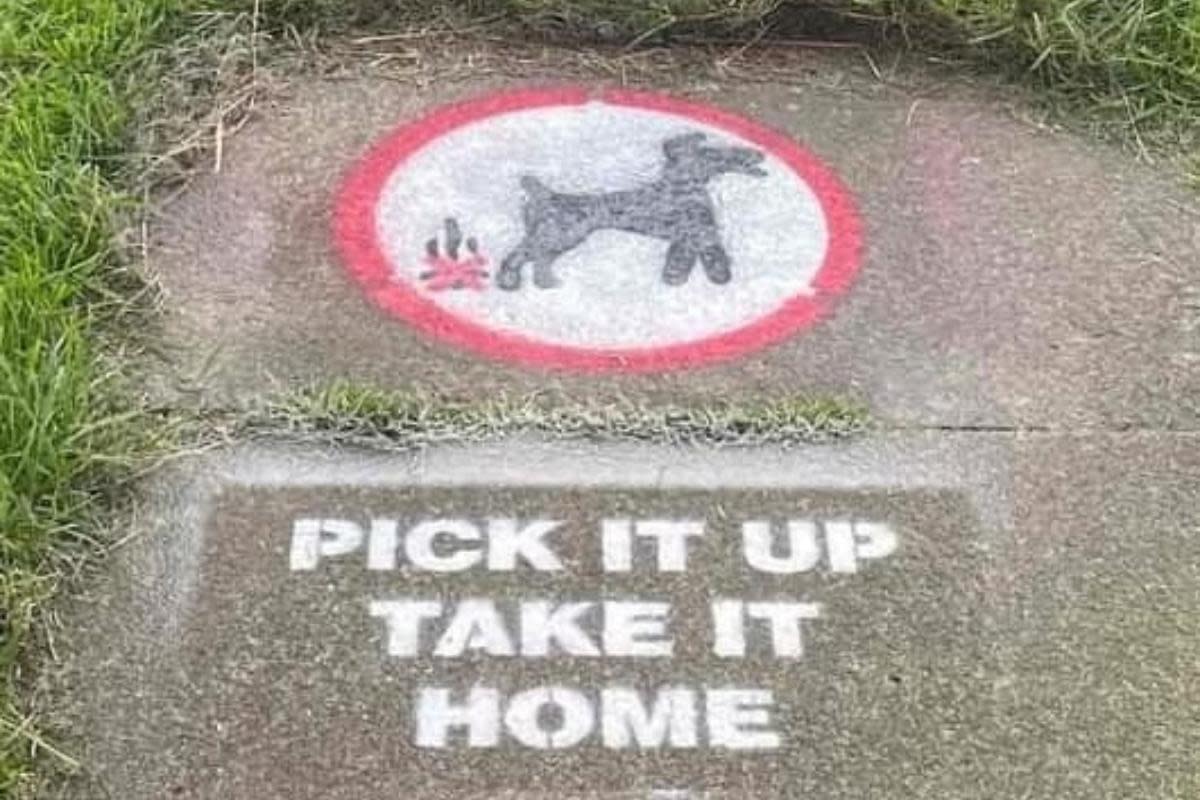 Stencils put up to remind dog owners to pick up dog fouling <i>(Image: Cllr Tracey Wilkinson)</i>