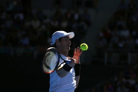 Tennis - Australian Open - Melbourne Park, Melbourne, Australia - 20/1/17 Britain's Andy Murray hits a shot during his Men's singles third round match against Sam Querrey of the U.S. .REUTERS/Thomas Peter