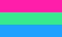 <p>Unlike someone who is pansexual, someone who identifies as polysexual is attracted to multiple, though not all genders. This flag was created on <a href="https://www.unco.edu/gender-sexuality-resource-center/resources/pride-flags.aspx" rel="nofollow noopener" target="_blank" data-ylk="slk:Tumblr;elm:context_link;itc:0;sec:content-canvas" class="link ">Tumblr</a> in 2012.</p>