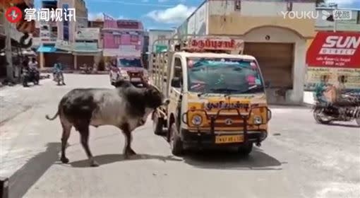 公牛追貨車。（圖／翻攝自掌聞視頻）