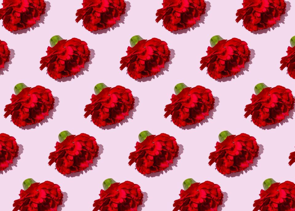 pattern of heads of red carnation flowers flat laid against pink background