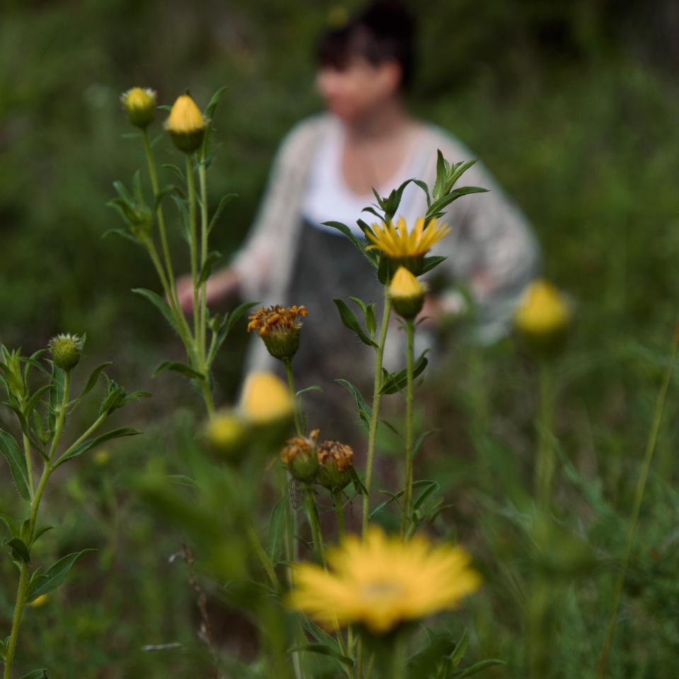 There is no right or wrong way to approach forest bathing. “That is in my introduction; everything I offer is an invitation to explore,” said Sarah Schortz, forest bathing guide. “Some sit and lie down the entire time. It can be done barefoot when the environment is safe. Some folks are not comfortable with that. I would never ask them to take off their shoes.”