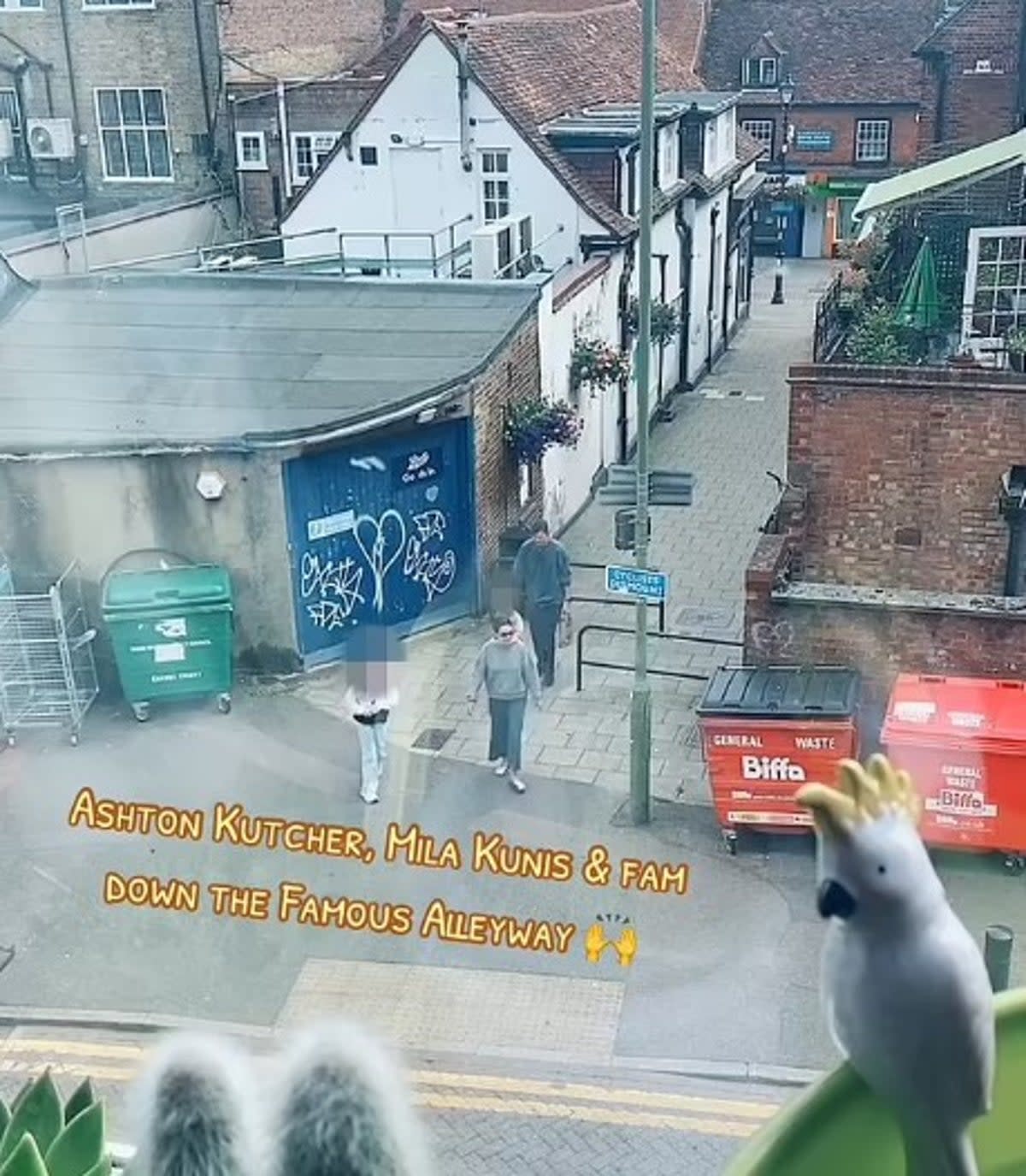 The couple were seen in the town centre with their kids (TikTok/AlleywayKing)