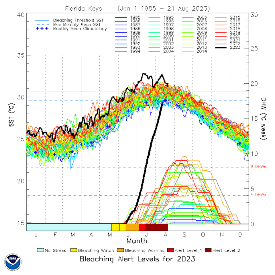 This year’s maximum sea surface temperature (top chart, black bar) and degree heating weeks (lower chart, black bar), a measure of accumulated heat stress, have been the highest since record-keeping began. <a href="https://coralreefwatch.noaa.gov/data/vs/ts_figures/ts_multi_year/vs_ts_multiyr_florida_keys.png" rel="nofollow noopener" target="_blank" data-ylk="slk:NOAA;elm:context_link;itc:0;sec:content-canvas" class="link ">NOAA</a>