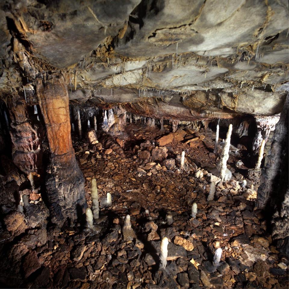 The dwelling at the time of discovery (Government of Cantabria)