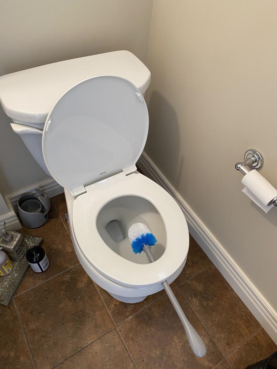 A toilet brush held between the seat and the bowl but the seat, so it can drip dry into the bowl