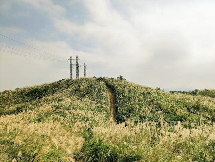 Field with pylons in background