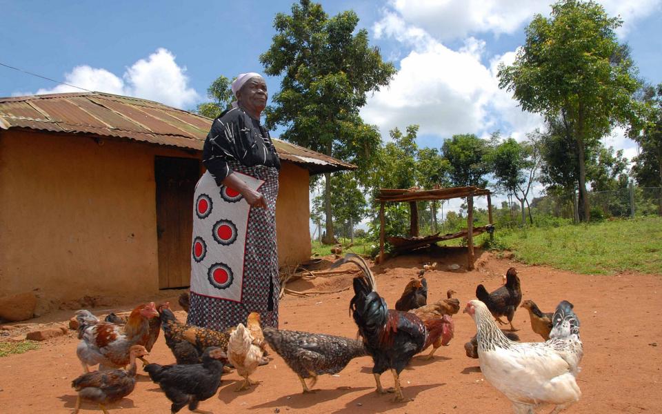 Sarah Obama outside her house in Kogelo -  BONIFACE MWANGI/Bloomberg News