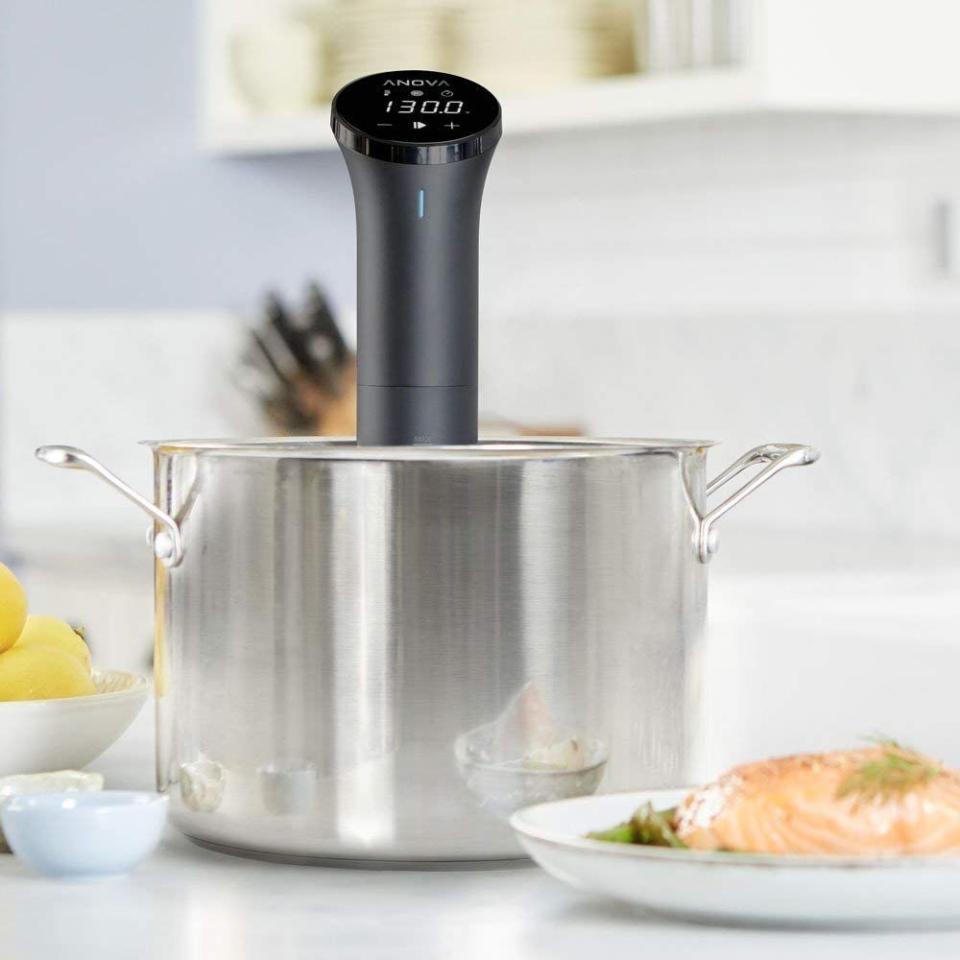 42) Sous Vide Precision Cooker Nano