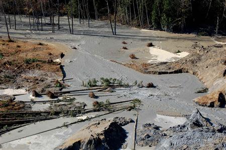 A general view of the breach where water from the Stillaguamish River is beginning to move through the dam created by a landslide near State Route 530 near Oso, Washington in this March 23, 2014 picture provided by the Washington State Department of Transportation. REUTERS/Washington State Department of Transportation/Handout via Reuters