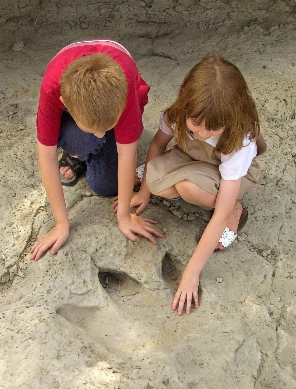 dinosaur valley state park dinosaur tracks