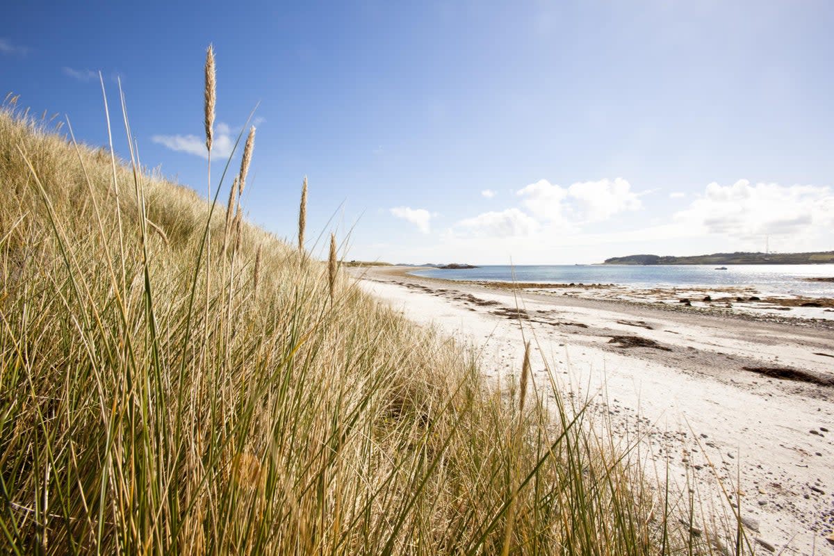 The white sands of Pentle Bay on the Isles of Scilly (Julian Love/Lonely Planet)