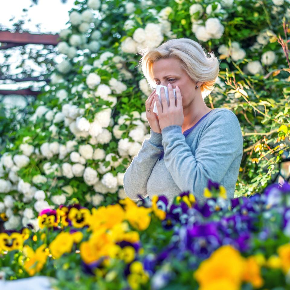 Hay fever - Credit: Getty Images