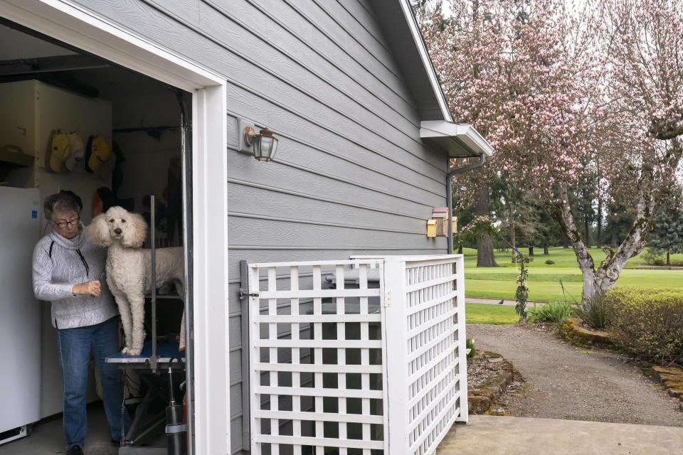 Joyce Ares grooms her poodle Gracie in the garage on Friday, March 18, 2022, in Canby, Ore. She had volunteered to take a blood test that is being billed as a new frontier in cancer screening for healthy people. It looks for cancer by checking for DNA fragments shed by tumor cells. (AP Photo/Nathan Howard)