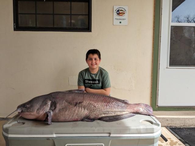 Junior angler reels massive catfish, smashes old record