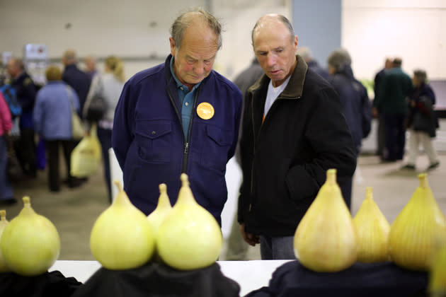 The Annual Harrogate Autumn Flower Show