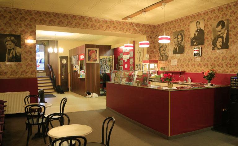 A dog lies in the entrance area of the Bellaria Kino movie theatre in Vienna on November 27, 2013