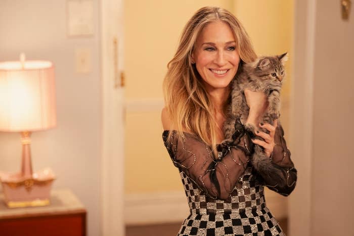 Sarah Jessica Parker holds a kitten while smiling in a room. She is wearing a checkered dress with a sheer black off-shoulder overlay