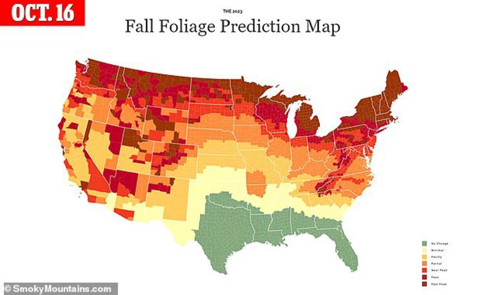 2023 Fall Foliage Map & Nationwide Peak Leaf Forecast