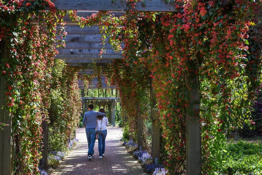 The Cape Fear Botanical Garden is located at 536 N. Eastern Blvd.