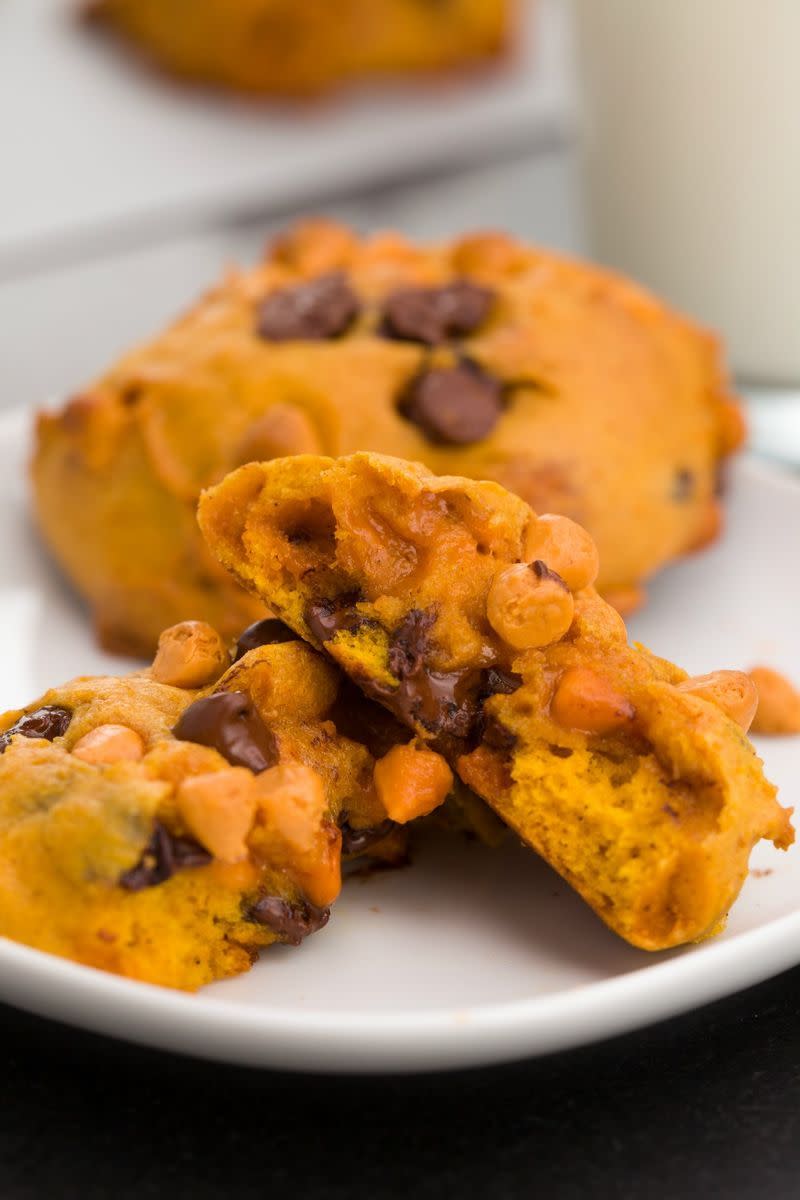 Pumpkin Chocolate Butterscotch Chip Cookies