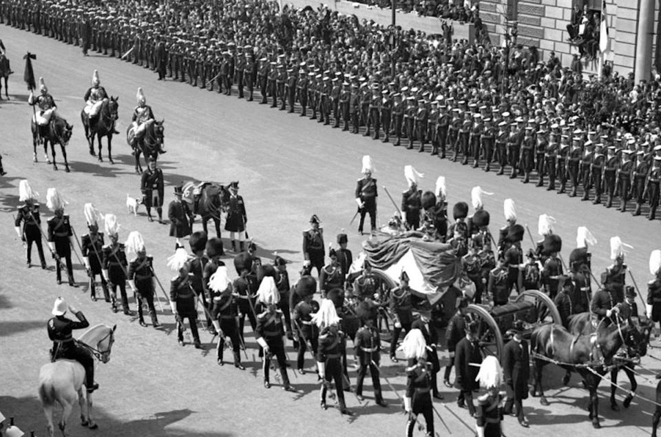 Caesar in the funeral procession, along with a the King’s rider-less horse (PA)