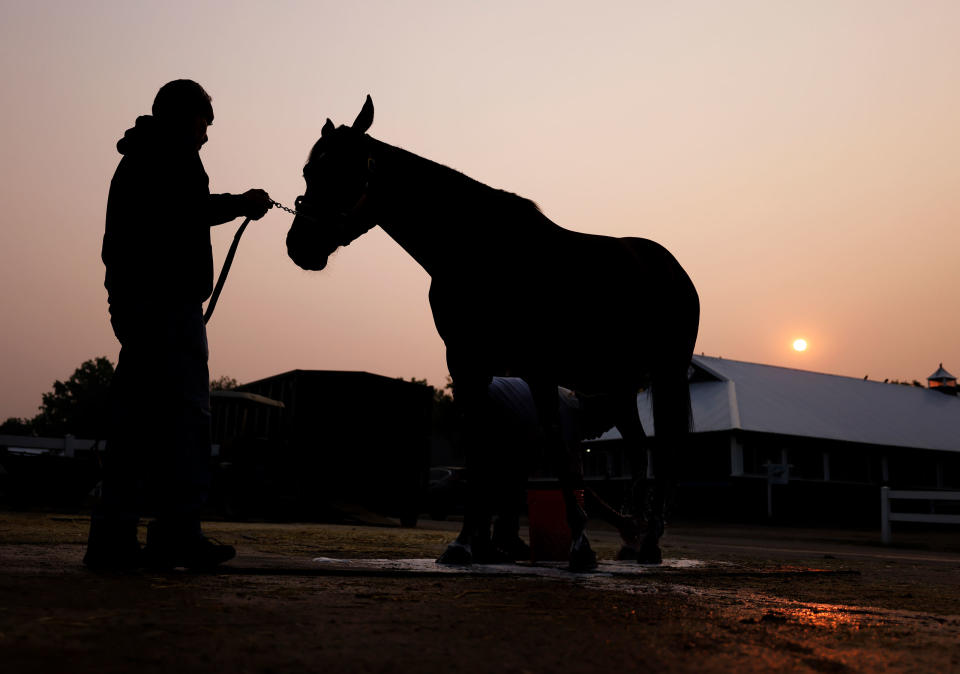A horse is bathed at sunrise outside its barn prior to the 155th running of the Belmont Stakes at Belmont Park, in Elmont, N.Y. on June 8, 2023.<span class="copyright">Al Bello—Getty Images</span>