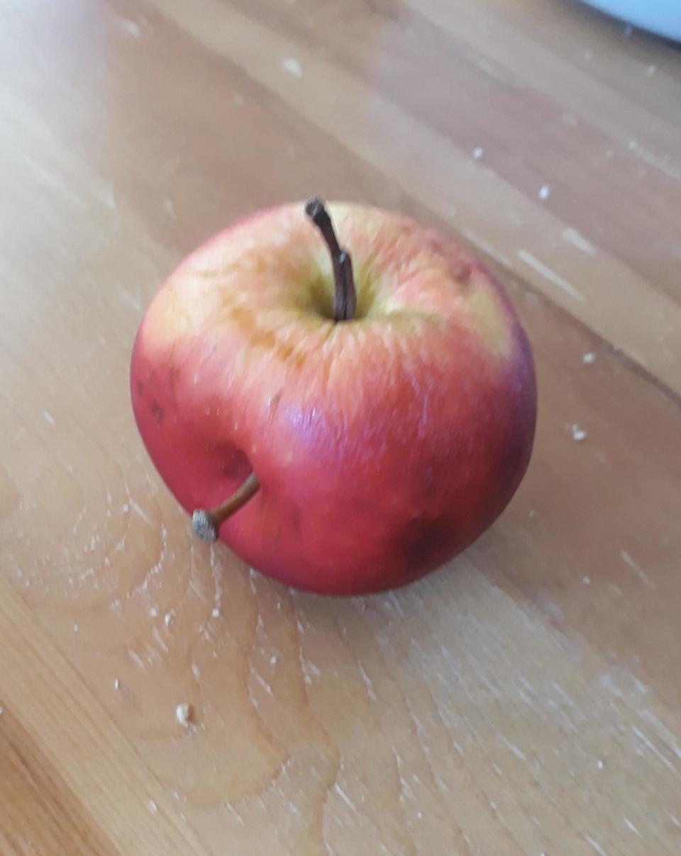 An apple with two stems