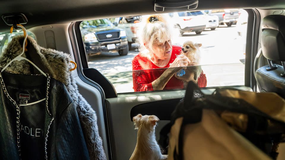 Sherry Alpers checks on her dogs at a center for Park Fire evacuees in Chico, California, on July 26, 2024. - Noah Berger/AP