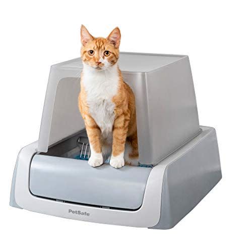 3) Automatic Self-Cleaning Litter Box