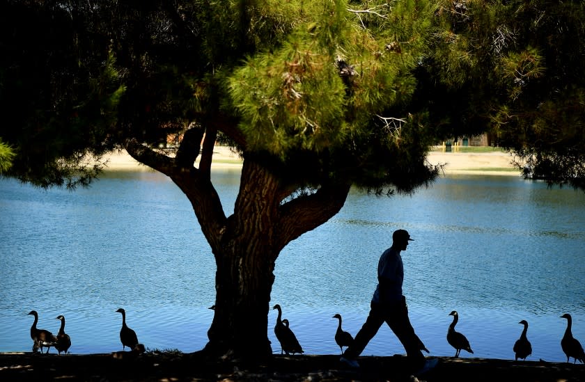 A man goes for a walk at Apollo Community Regional Park during a hot day in Lancaster Tuesday.