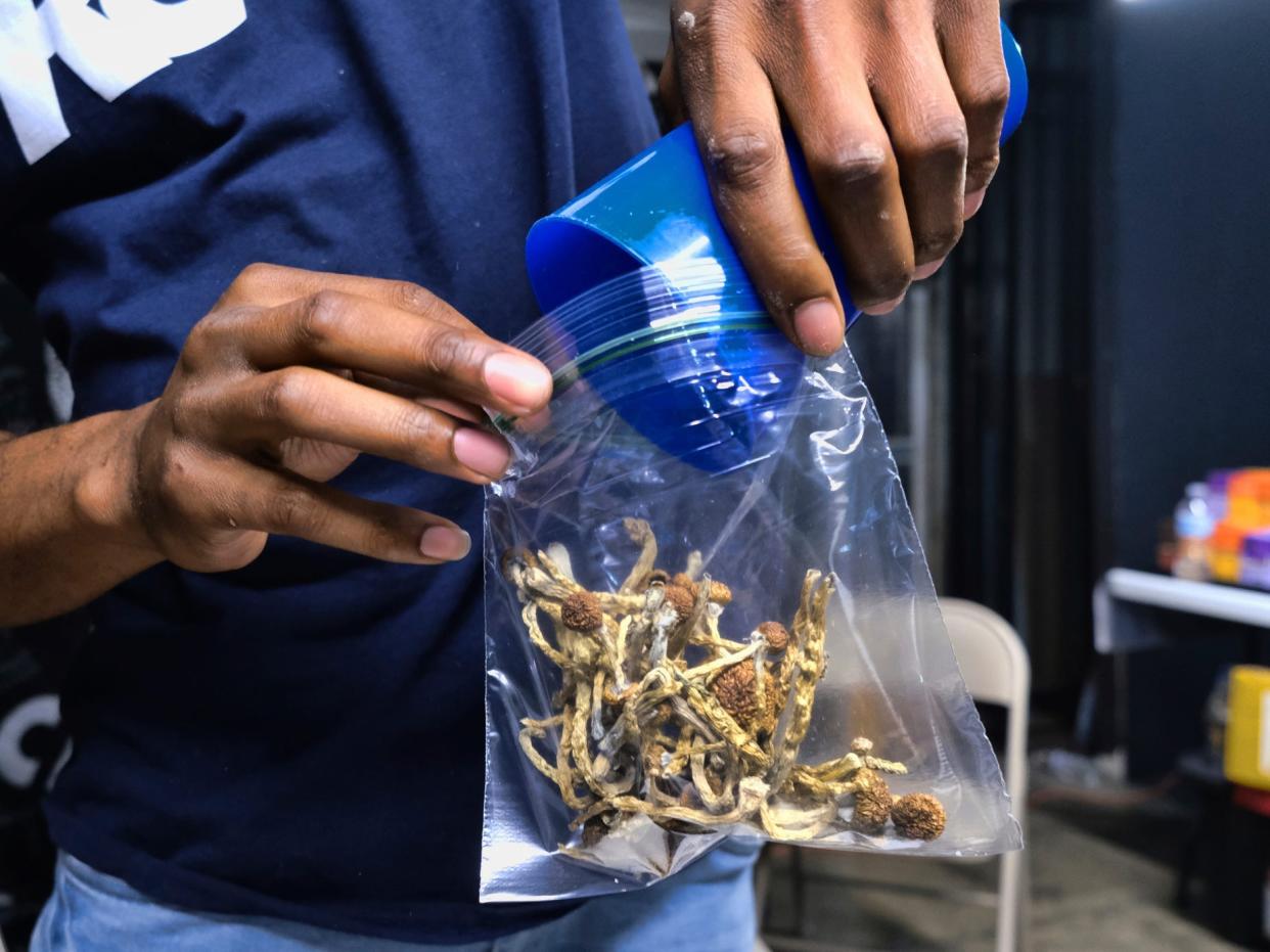 In this Friday, May 24, 2019 photo a vendor bags psilocybin mushrooms at a cannabis marketplace in Los Angeles. Oakland City Council will vote Tuesday, June 4, 2019, to decriminalize the possession and use of entheogenic, or psychoactive, plants and fungi. (AP Photo/Richard Vogel)