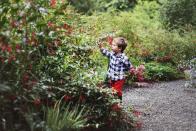 <p>Spending the day surrounded by natural beauty is good for the soul, it's a fact. Browse your local botanical garden for fresh air and gardening inspiration galore. And if your city or town doesn't have one, a stroll through a park has the same affect. Bonus: Kids love it!</p>