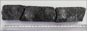 Split section of drill core from hole FR-DD-23-196, sample length 0.25 metre. Assay results are pending*.