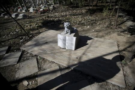 A pet owner stands next to a tomb with a dog statue at Baifu pet cemetery ahead of the Qingming Festival on the outskirts of Beijing, China March 27, 2016. REUTERS/Jason Lee