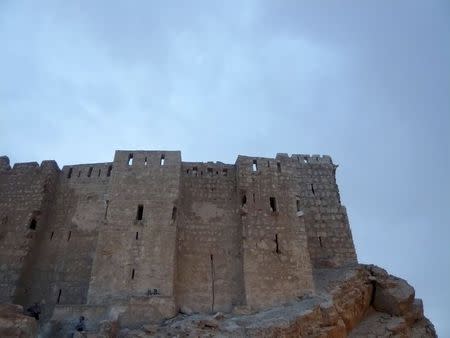 A view shows the Ibn Maan Citede in the historical city of Palmyra, Syria, August 4, 2010. REUTERS/Sandra Auger