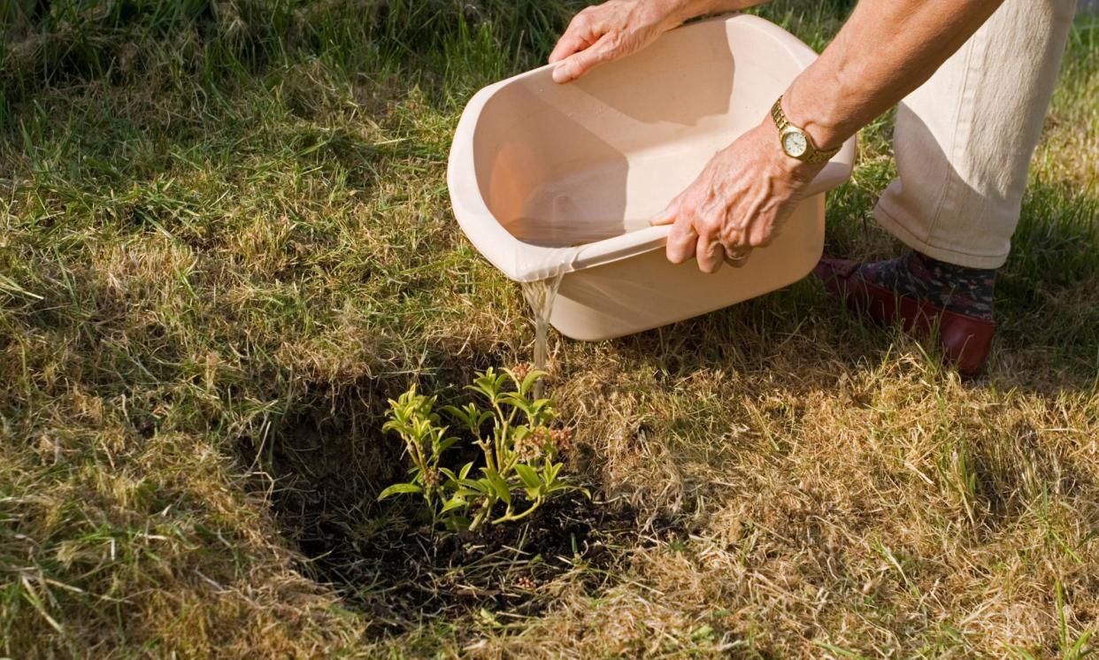 <span>The RHS has hired experts to explore how grey water, such as from the washing up bowl and the bath, can be used safely and effectively.</span><span>Photograph: Mark Boulton/Alamy</span>