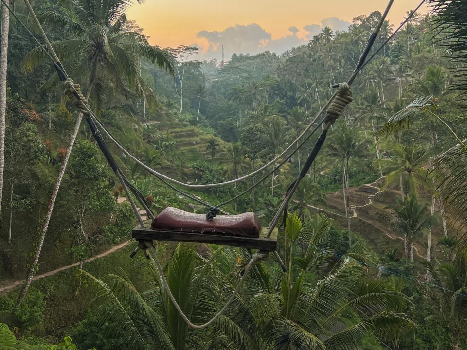 Tegallalang abandoned swing