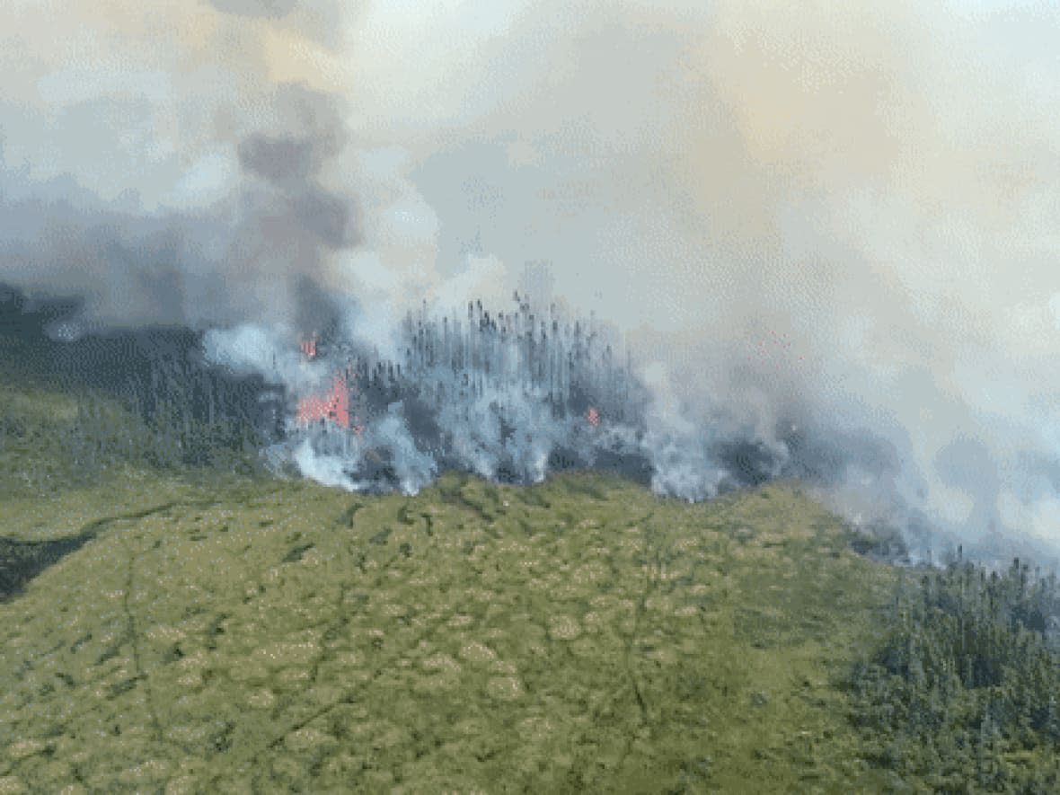 An aerial view of one of the forest fires burning out of control in central Newfoundland.  (Submitted by Derrick Bragg  - image credit)