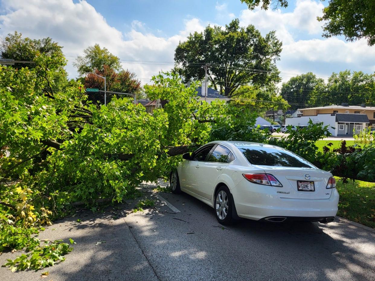 A car is stuck underneath a fallen tree on MacArthur Boulevard Thursday, Sept. 28, 2023.