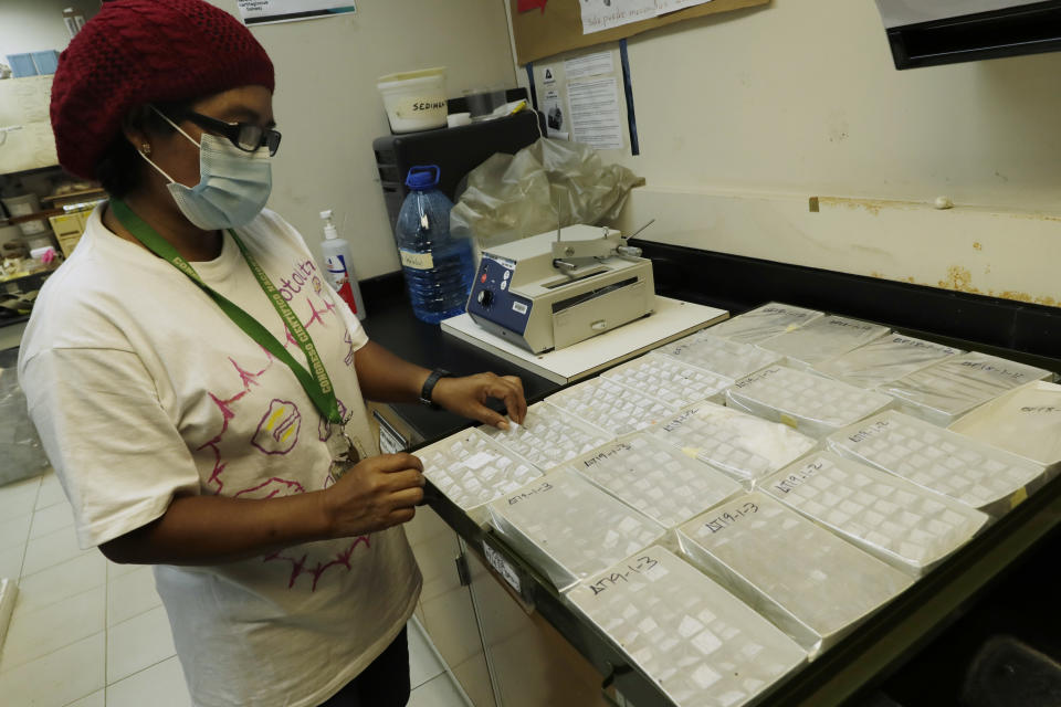 Researcher Brigida De Gracia of the Smithsonian Tropical Research Institute, holds a sample of fish otoliths at the Naos Marine Laboratories in Panama City, Wednesday, March 31, 2021, that she classified while in her home due to the COVID-19 pandemic lockdown. De Gracia studies otoliths, a tiny stone-like part of the anatomy of vertebrates found in their inner ear. In particular, De Gracias studies them in fish as part of her efforts to see how humans have been impacting fish over the past several thousand years. (AP Photo/Arnulfo Franco)