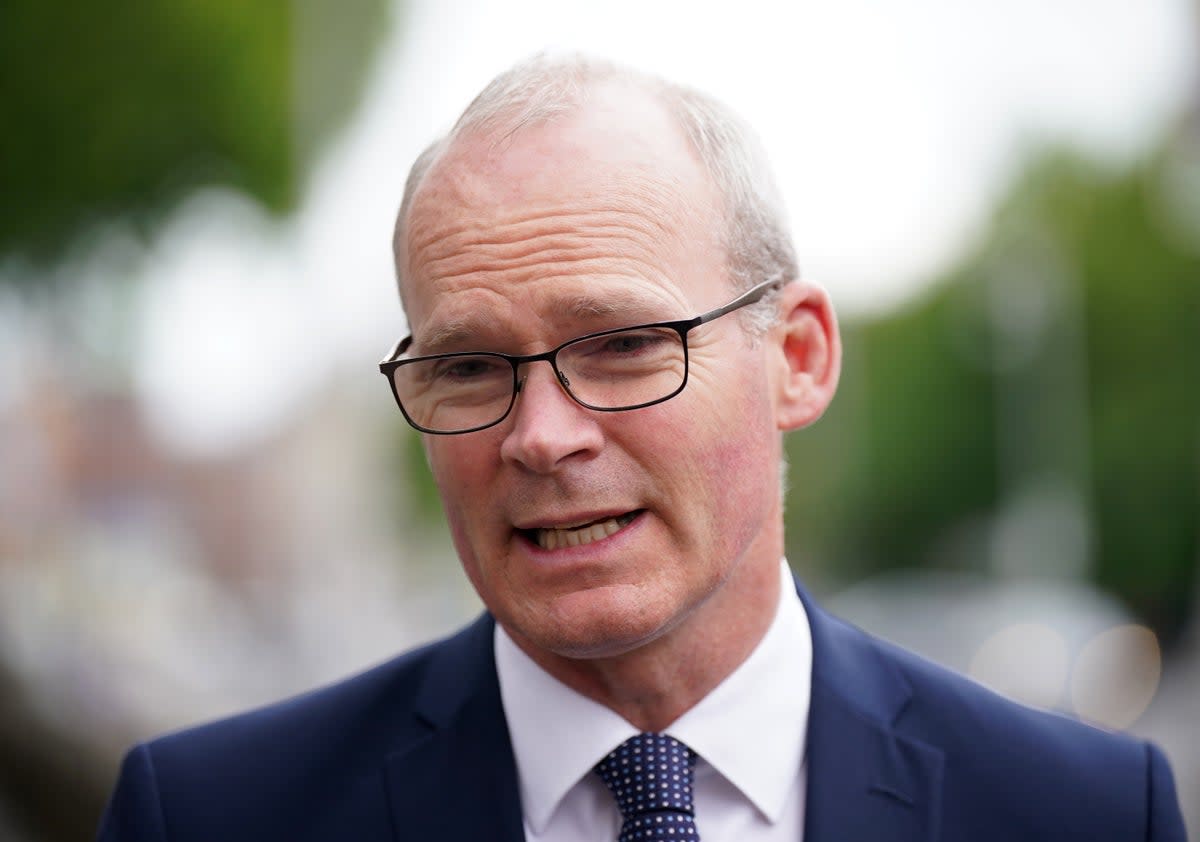 Irish Minister for Foreign Affairs Simon Coveney (Niall Carson/PA) (PA Wire)