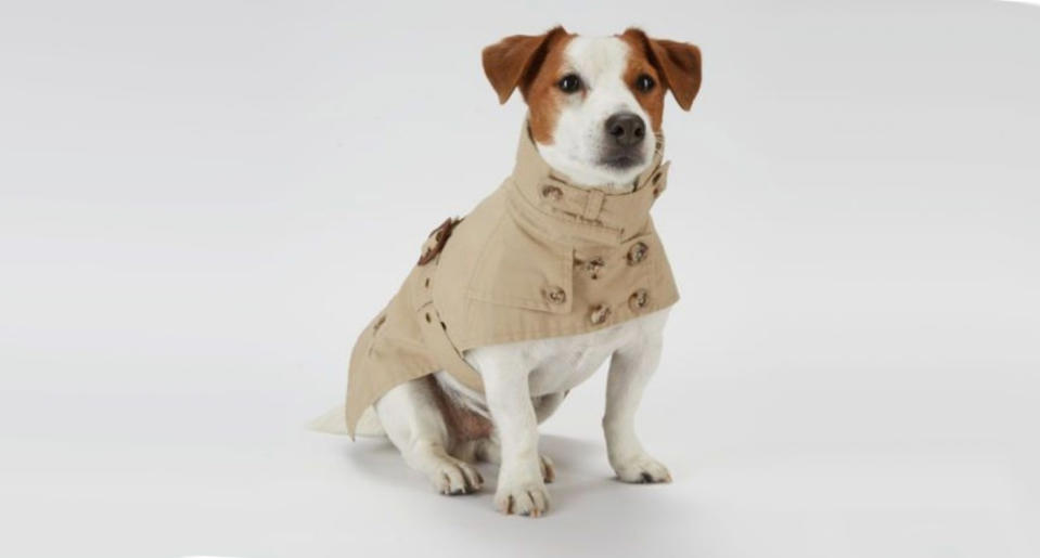 Ralph Lauren Dog Trench Coat, $40, poshmark.com (Photo: Poshmark)