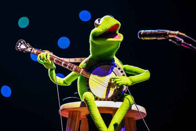 <p>Alana Swaringen</p> Kermit the Frog in Texas on March 14, 2024